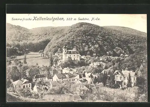 AK Kaltenleutgeben, Gesamtansicht aus der Vogelschau