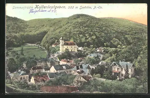 AK Kaltenleutgeben, Ortsansicht aus der Vogelschau