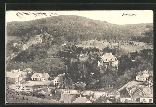 AK Kaltenleutgeben, Panorama aus der Vogelschau