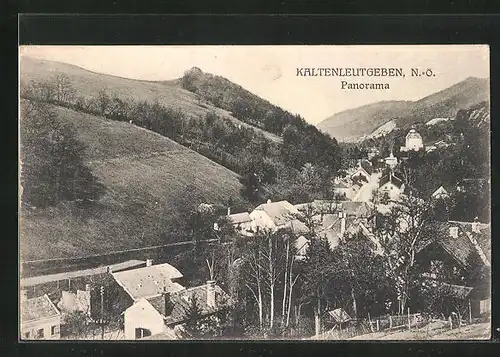 AK Kaltenleutgeben, Panorama aus der Vogelschau
