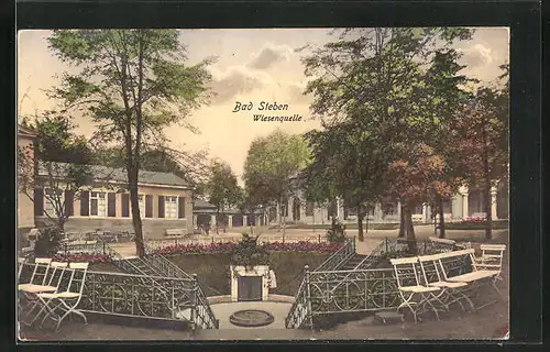 AK Bad Steben, Wiesenquelle