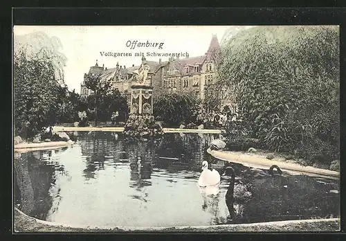 AK Offenburg, Volkgarten mit Schwanenteich