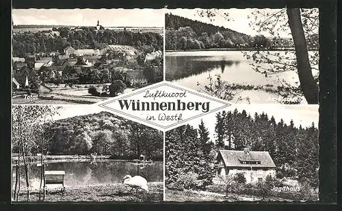 AK Wünnenberg in Westf., Totalansicht, Jagdhaus, am Fischteich, Schwanenteich