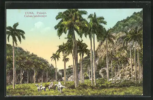 AK Paisaje, Cuban landscape