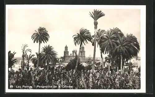 AK Las Palmas, Perspctiva de la Catedral