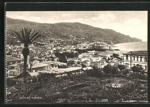 AK Madeira-Funchal, Panorama