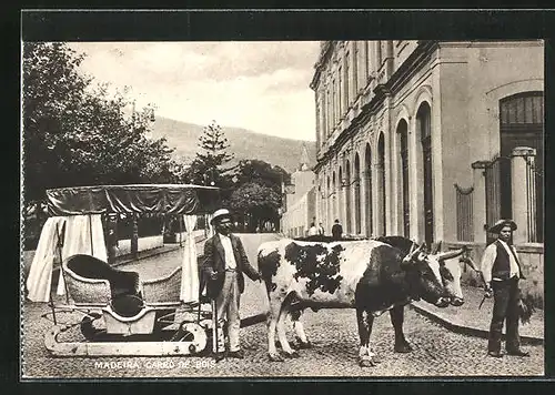 AK Madeira, Carro de Bois