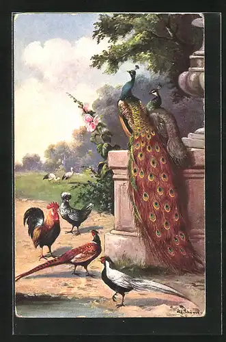 Künstler-AK Alfred Schönian: Pfaue, Hühner und Störche in einem Park
