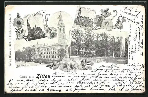 AK Zittau i. Sa., kath. Kirche, Rathaus, Johanneum, Weinau, Wasserspiel