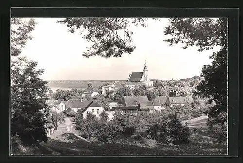 AK Neuzelle, Teilansicht der Stadt mit Blick zur Kirche