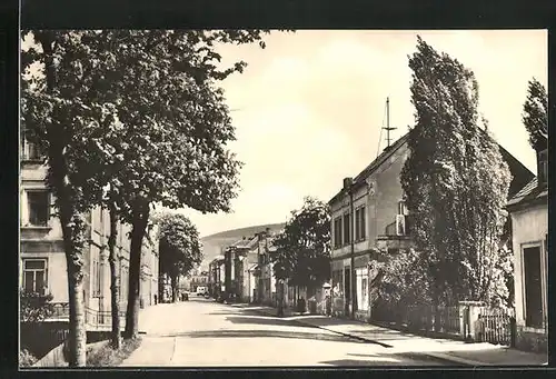 AK Olbernhau im Erzgeb., Blick in die Freiberger Strasse