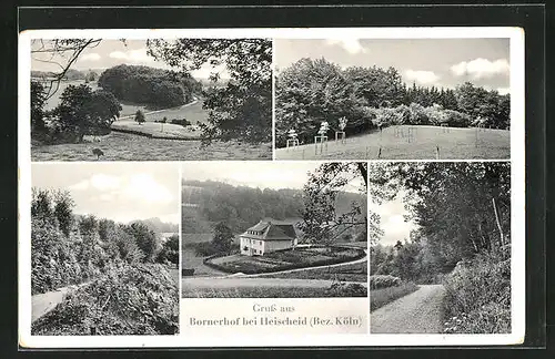 AK Heischeid, am Gasthaus Bornerhof, Waldwege, Talblick