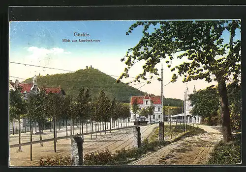AK Görlitz, Strassenbahn mit Blick zur Landeskrone