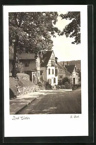 AK Bad Elster, auf der Strasse mit den alten Fachwerkhäusern