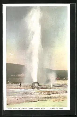 AK Wyoming, Yellowstone Nationalpark, Upper Geyser Basin, Beehive Geyser