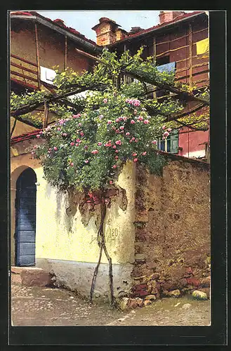 Künstler-AK Photochromie Nr. 3244: Lago Maggiore, Muralto, an einem Wohnhaus
