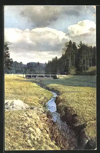 Künstler-AK Photochromie Nr. 2730: am Bach auf der Wiese mit Blick zur Brücke