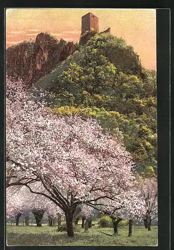 Künstler-AK Photochromie Nr. 2726: Süd-Tirol, die Obstblüte, Blick hinauf zur Burg