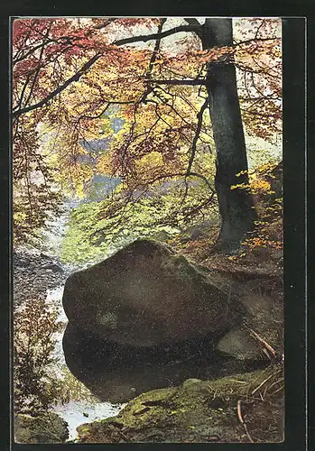 Künstler-AK Photochromie Nr. 3226: der grosse Stein unter einem herbstlichen Baum