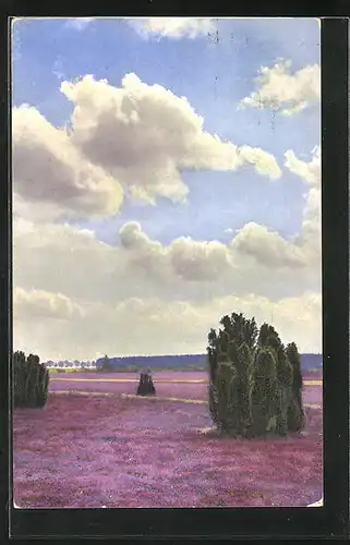 Künstler-AK Photochromie Nr. 3110: Landschaftsbild mit Lavendelfarbenem Bodenbewuchs