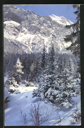 Künstler-AK Photochromie Nr. 2897: Winterlandschaft im Wald, Blick auf die Felsformation