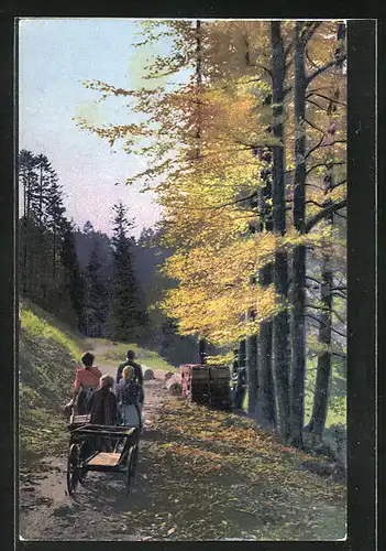 Künstler-AK Photochromie Nr. 2560: Herbstlicher Wald, Familie mit einem Karren unterwegs