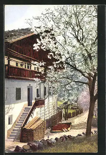 Künstler-AK Photochromie Nr. 2707: Süd-Tirol, Obstbaum in Blütenpracht vor dem Gasthaus