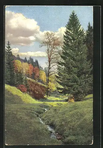 Künstler-AK Photochromie Nr. 2562: Landschaft mit kleinem Bach am Waldrand