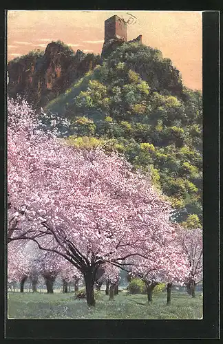 Künstler-AK Photochromie Nr. 2726: Obstblüte in Tirol, Blick hinauf zur Burg
