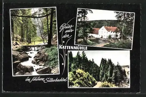 AK Horn, Waldgaststätte Kattenmühle und zwei Ansichten im schönen Silberbachtal