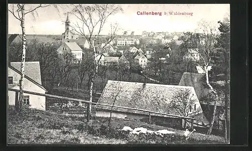 AK Callenberg b. Waldenbrug, Totalansicht