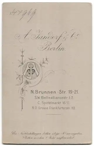 Fotografie A. Jandorf & Co., Berlin, N. Brunnenstr. 19-21, Portrait junger Militär Musiker in Uniform mit Schwalbennest