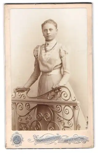 Fotografie A. Jandorf & Co., Berlin, Belle-Alliance-Str. 1, Portrait junge Dame im Kleid