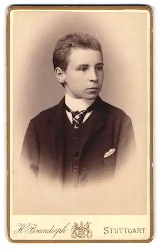 Fotografie Hermann Brandseph, Stuttgart, Marienstrasse 36, Junger Mann im Anzug