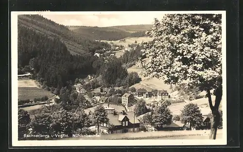 AK Sachsenberg i. Vogtld., Ortspartie aus der Vogelschau mit Blick zum Mühlenbachtal