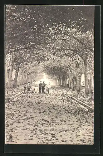 AK Brunoy, L`Avenue Portalis, Les Bosserons