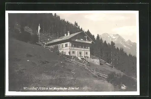 AK Mayrhofen /Zillertal, Gasthof Wiesenhof