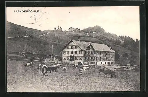 AK Bregenz, Gasthof Pfänderdohle mit Kuhgehege