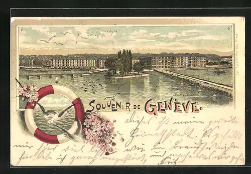 Lithographie Genève, Le Jura, Les mouettes