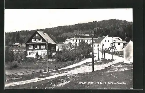 AK Mönichkirchen, Ortspartie mit Alpenhotel Lang