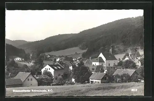 AK Raisenmarkt, Teilansicht mit Kirche