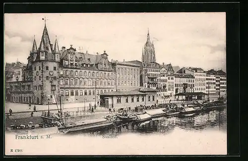 AK Alt-Frankfurt, Saalhof mit Kirche