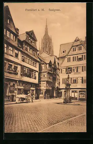 AK Alt-Frankfurt, Saalgasse mit Denkmal und Domblick