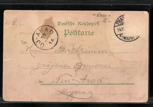 Lithographie Alt-Frankfurt, Teilansicht mit Dom und Brücken, Frau mit Wappen