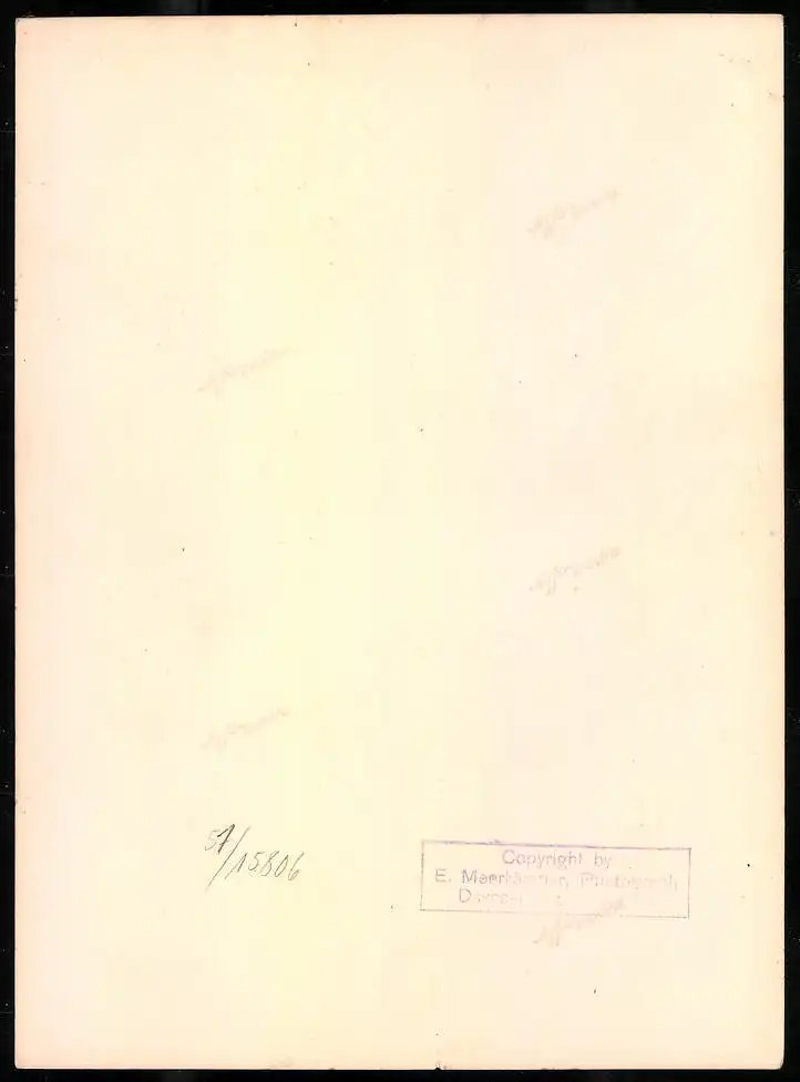 Fotografie Emil Meerkämper, Davos, unbekannter Ort, Ortschaft in idyllischer Hanglage in den Alpen 1