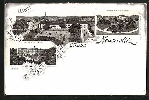 Lithographie Neustrelitz, Ortspartie, Marktplatz mit Rathaus, Grossherzogliches Schloss