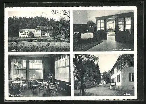 AK Hamm /Sieg, Bibel- und Erholungsheim, Luginsland, Diele und Veranda, Lärche