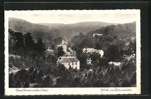AK Bad Freienwalde (Oder), Blick ins Brunnental