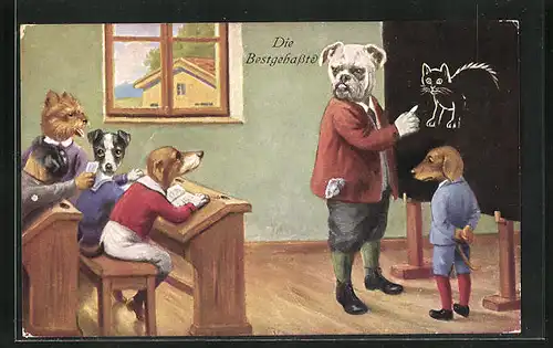 AK Die Bestgehasste, Hundeschule, Lehrer klärt über den Feind Katze auf, vermenschlichte Tiere
