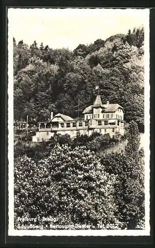 AK Freiburg / Breisgau, Schlossberg, Restaurant Dattler